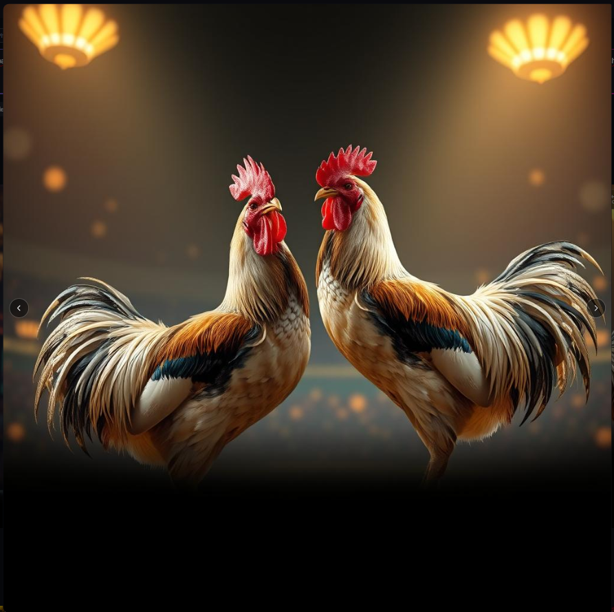 Sabung Ayam Terbaik Hari Ini Jadi Pilihan Pemain Indonesia